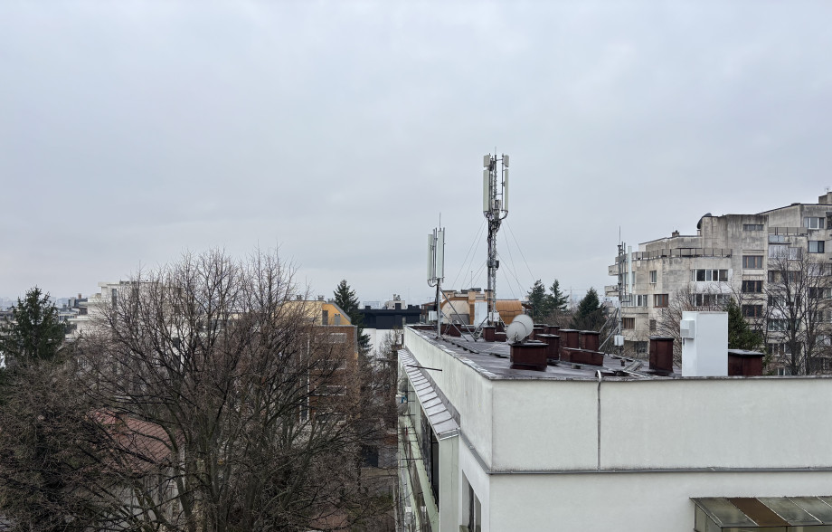 IMG_81531.jpeg
