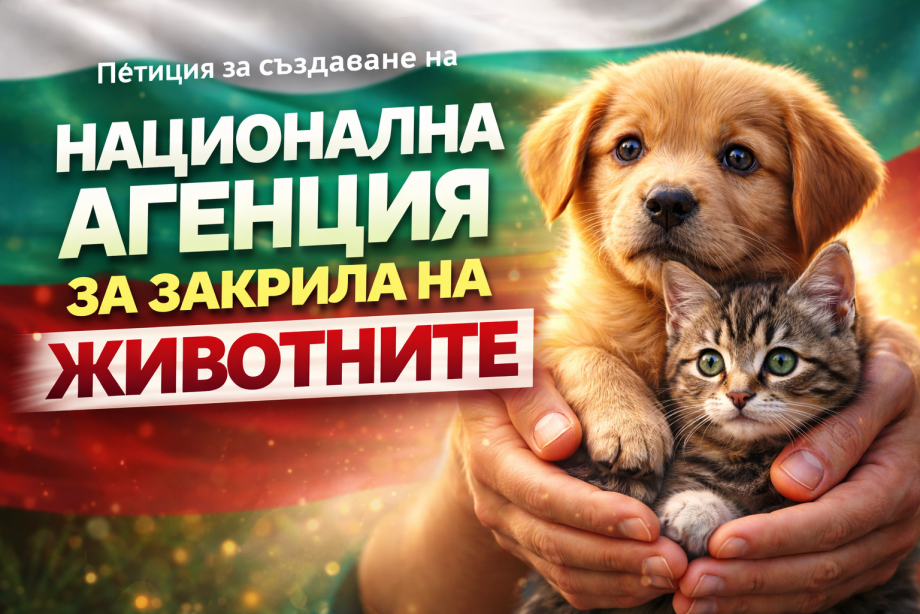 Petition_BG_Animals.png